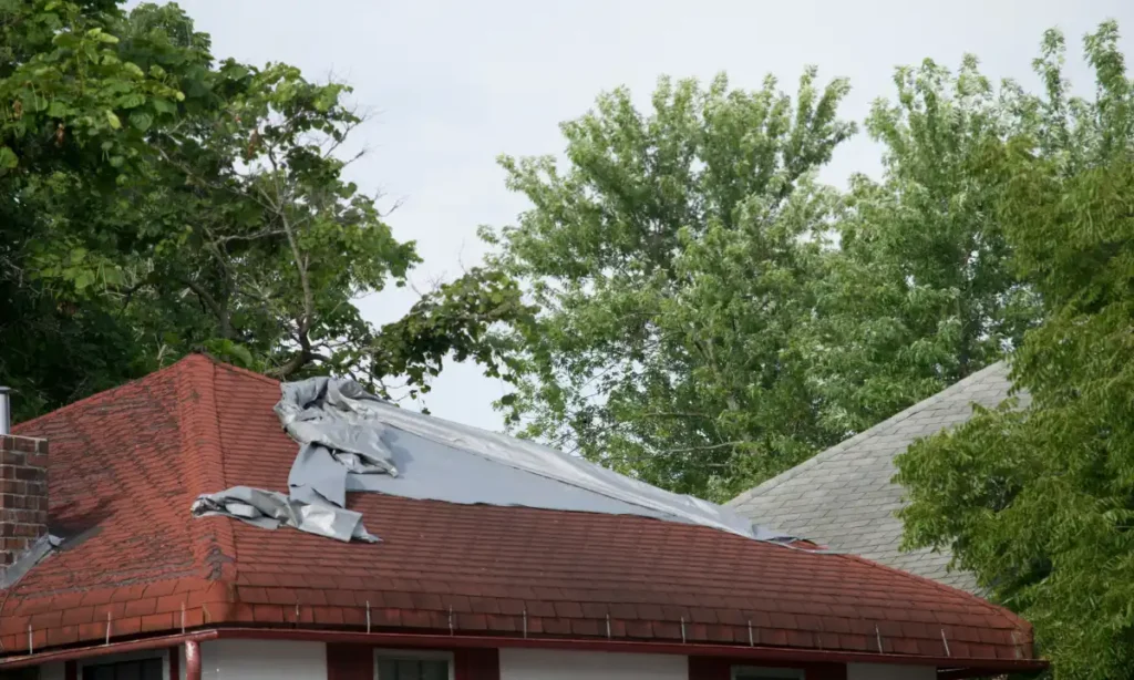 Hail Damage vs Wind Damage