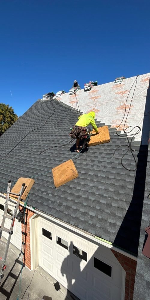 0199f7ec-0738-7ee2-a7af-53068b895377