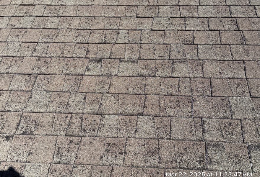 Hail Damaged shingles